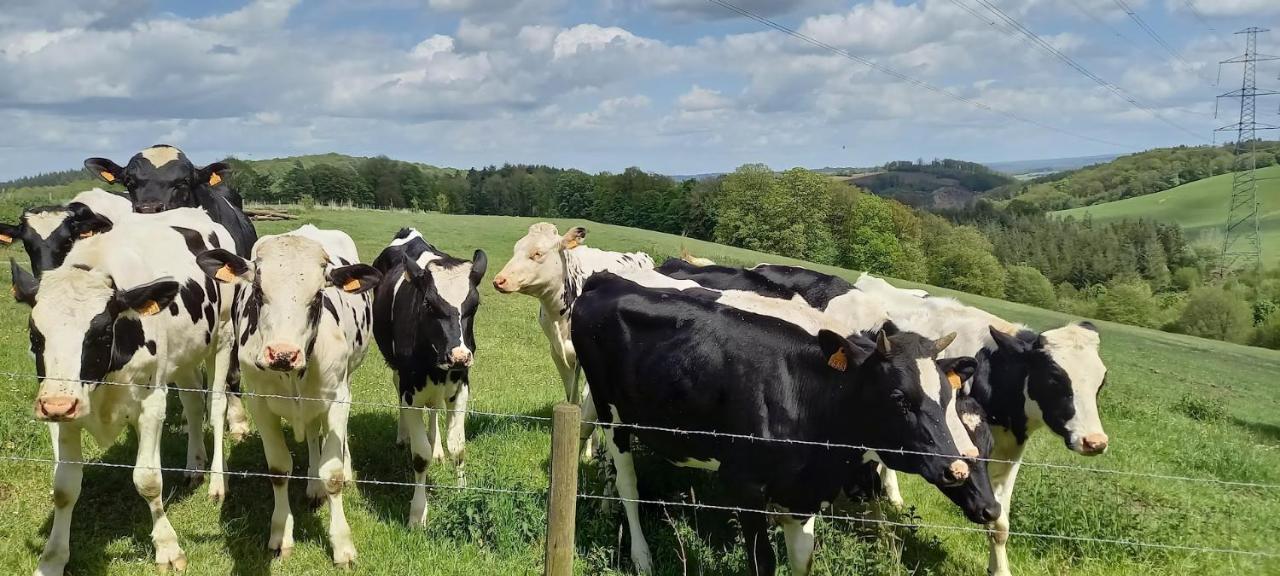 La Faironniere Villa Hamoir Exteriör bild